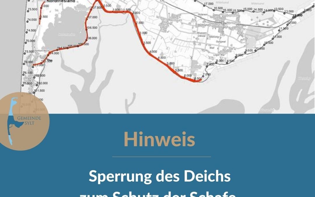 15 Kilometer Deich zum Schutz der Schafe gesperrt