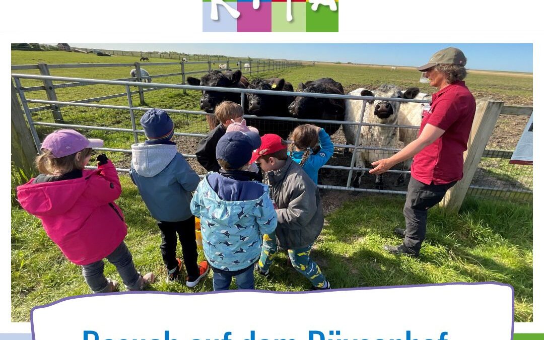 Vorschulkinder der SYLT KITA zu Besuch auf dem Düysenhof in Morsum