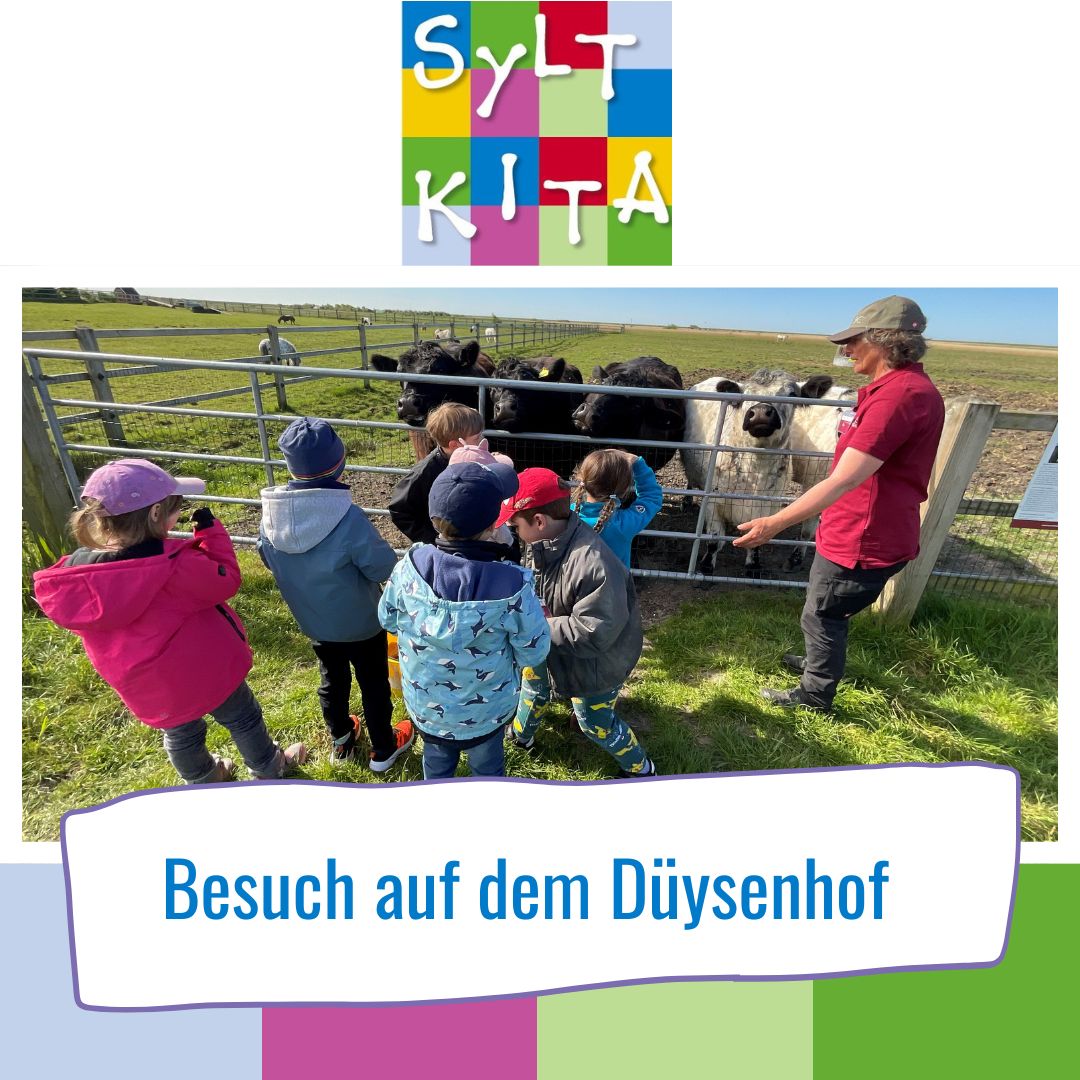 0107-05-2025 Sylt KITA Düysenhof