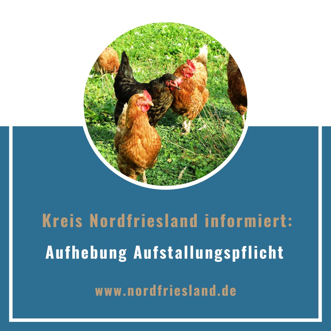 0110-05-2025 Kreis NF_Aufhebung_Geflügelpest