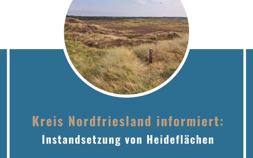Kreis NF: Instandsetzung von Heideflächen am Flugplatz Sylt