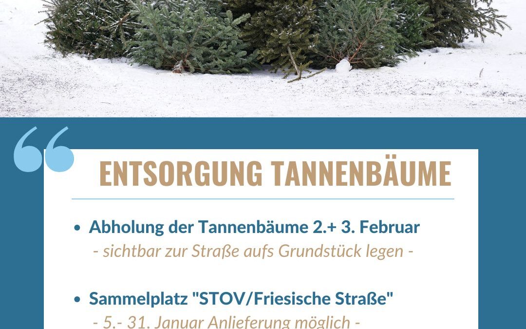 Informationen zur Abholung der abgeschmückten Weihnachtsbäume