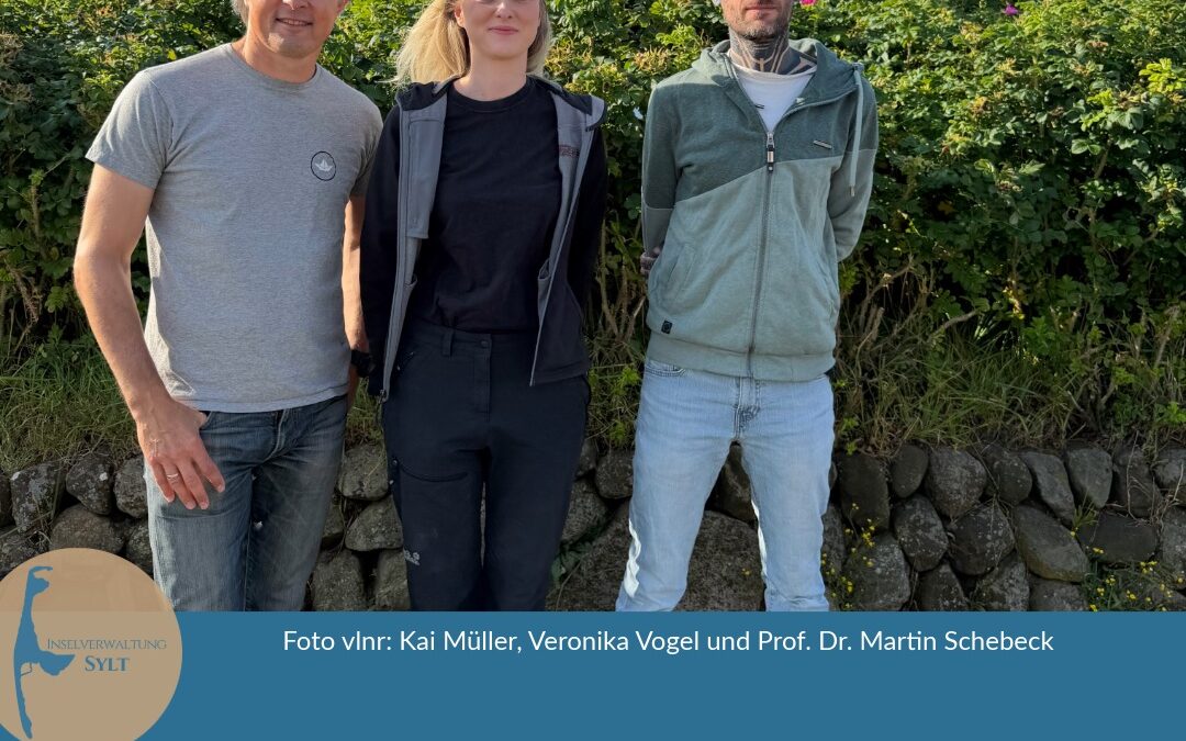 Inselverwaltung Sylt startet gemeinsam mit der Universität Göttingen bundesweit einzigartiges Forschungsprojekt zum Goldafter